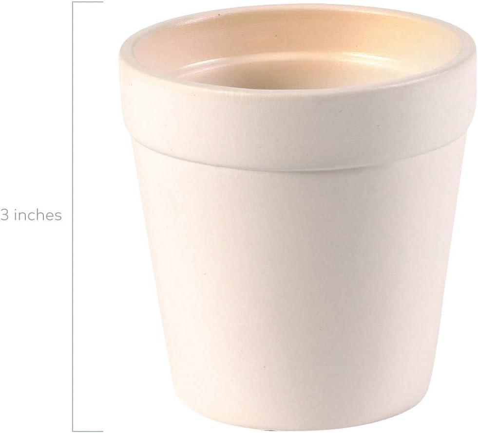 imageFun Express Mini Flower Pots Bulk Ceramic  Set of 12 Unfinished White Ceramic Pot for Kids  Color Your Own Class Pack  Great for Classrooms Art Class and Camp Craft Projects