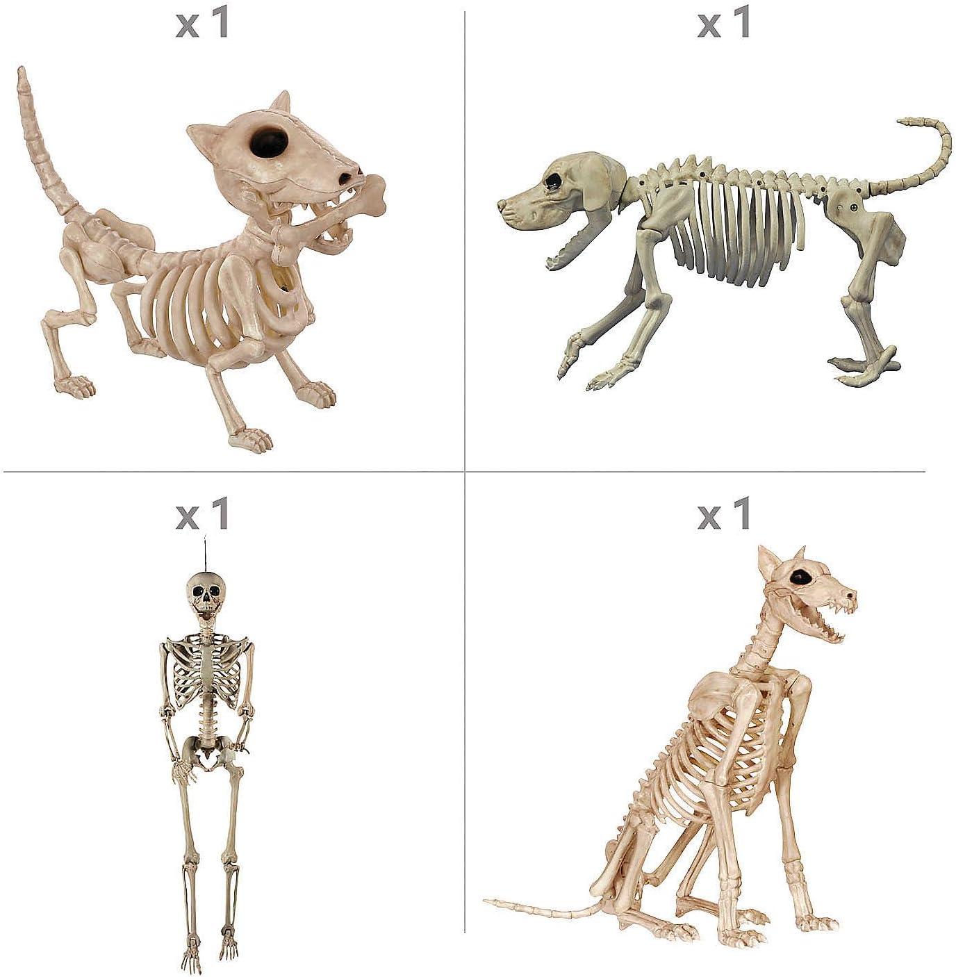 imageFun Express Skeleton Dog Walker Halloween Decorating Kit  4 Pc