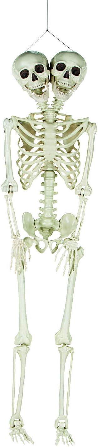 imageFun Express TwoHeaded LifeSize Human Skeleton 5 Feet Tall Posable Halloween Decorations Outdoor ampamp Indoor Scary Halloween Decor for Yard Porch ampamp Party Premium Plastic Construction with Hanging String