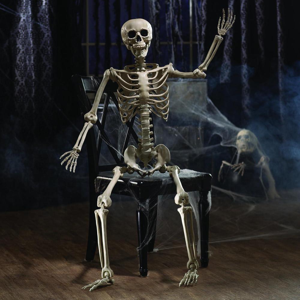 imageFun Express 5 Foot Life Size Skeleton Halloween Decorations Outdoor  Posable Full Body with Movable Joints for Yard Haunted House Props ampamp Indoor Scary Decor  Premium Plastic Construction