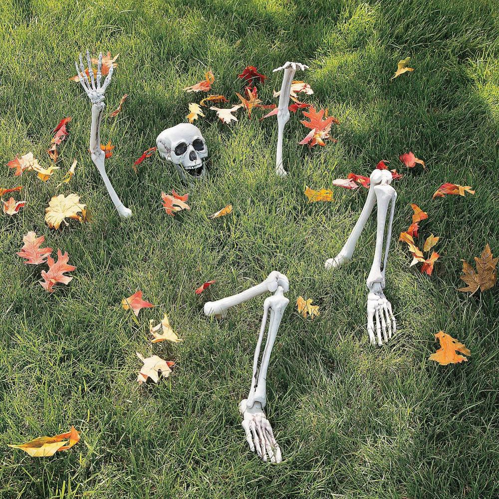 imageFun Express LifeSize Skeleton Yard Halloween Decoration  Ground Breaker Skeleton with Movable Jaw Skull and Jointed Legs and Arms