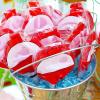 Fishing Themed Individually Wrapped Lollipops, 12 Pieces, Little Fisherman, Bobber, Birthday Party Favors