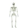 Fun Express 5 Foot Life Size Skeleton Halloween Decorations Outdoor – Posable Full Body with Movable Joints for Yard, Haunted House Props & Indoor Scary Decor | Premium Plastic Construction