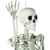 Fun Express 5 Foot Life Size Skeleton Halloween Decorations Outdoor – Posable Full Body with Movable Joints for Yard, Haunted House Props & Indoor Scary Decor | Premium Plastic Construction