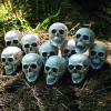 Fun Express Bag of Bones Realistic Bulk Skeleton Skulls 5 Inch – Premium Halloween Skull Decor for Party, Bar & Table Decorations | White Plastic Human Skull Heads 12 Pack for Crafts & Yard Display