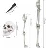 Fun Express Life-Size Skeleton Yard Halloween Decoration – Ground Breaker Skeleton with Movable Jaw Skull and Jointed Legs and Arms