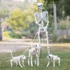 Fun Express Skeleton Dog Walker Halloween Decorating Kit – 4 Pc