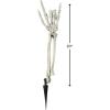Fun Express Skeleton Hands Halloween Yard Decorations – 3 Pack Groundbreaker Skeleton Arms 20″ for Outdoor Graveyard Cemetery Decor | Realistic Halloween Lawn Stakes for Spooky Garden Display