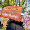 Fun Express Spookley the Square Pumpkin Trunk-or-Treat Decorating Kit – 18 Pieces