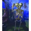 Fun Express Two-Headed Life-Size Human Skeleton 5 Feet Tall Posable Halloween Decorations Outdoor & Indoor Scary Halloween Decor for Yard Porch & Party Premium Plastic Construction with Hanging String