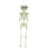 Fun Express Two-Headed Life-Size Human Skeleton 5 Feet Tall Posable Halloween Decorations Outdoor & Indoor Scary Halloween Decor for Yard Porch & Party Premium Plastic Construction with Hanging String