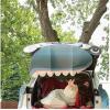 Fun Express Value Religious Black Cat Trunk-or-Treat Decorating Kit – 5 Pc(Jonah & the Whale)
