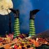 Fun Express Witch Legs Yard Stakes Halloween Decorations Outdoor – 2 Pack Crashing Witch Decor 18″ Foam Stakes for Front Yard, Lawn & Garden | Funny Upside Down Witches Legs Halloween Decorations