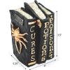 Fun Express Witch and Wizard Spellbook Tabletop Halloween Decoration – Halloween Home Decor