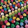 Porcupine Toy Character Assortment – Bulk set of 50 porcupine balls for kids – Party Favors and Giveaways