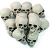 Fun Express Bag of Bones Realistic Bulk Skeleton Skulls 5 Inch – Premium Halloween Skull Decor for Party, Bar & Table Decorations | White Plastic Human Skull Heads 12 Pack for Crafts & Yard Display
