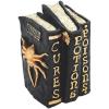 Fun Express Witch and Wizard Spellbook Tabletop Halloween Decoration – Halloween Home Decor