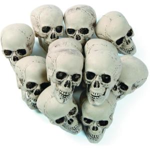 Fun Express Bag of Bones Realistic Bulk Skeleton Skulls 5 Inch – Premium Halloween Skull Decor for Party, Bar & Table Decorations | White Plastic Human Skull Heads 12 Pack for Crafts & Yard Display