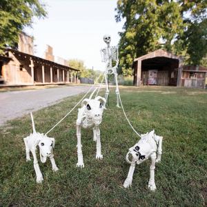 Fun Express Skeleton Dog Walker Halloween Decorating Kit – 4 Pc