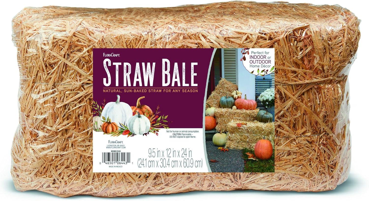 imageFun Express Decorative Hay Bales for Decoration  24quot Natural Straw Bale for Fall Outdoor Porch Decor  Fake Hay Stack for Halloween Thanksgiving ampamp Harvest Displays