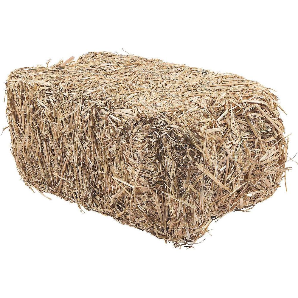 imageFun Express Decorative Hay Bales for Decoration  24quot Natural Straw Bale for Fall Outdoor Porch Decor  Fake Hay Stack for Halloween Thanksgiving ampamp Harvest Displays