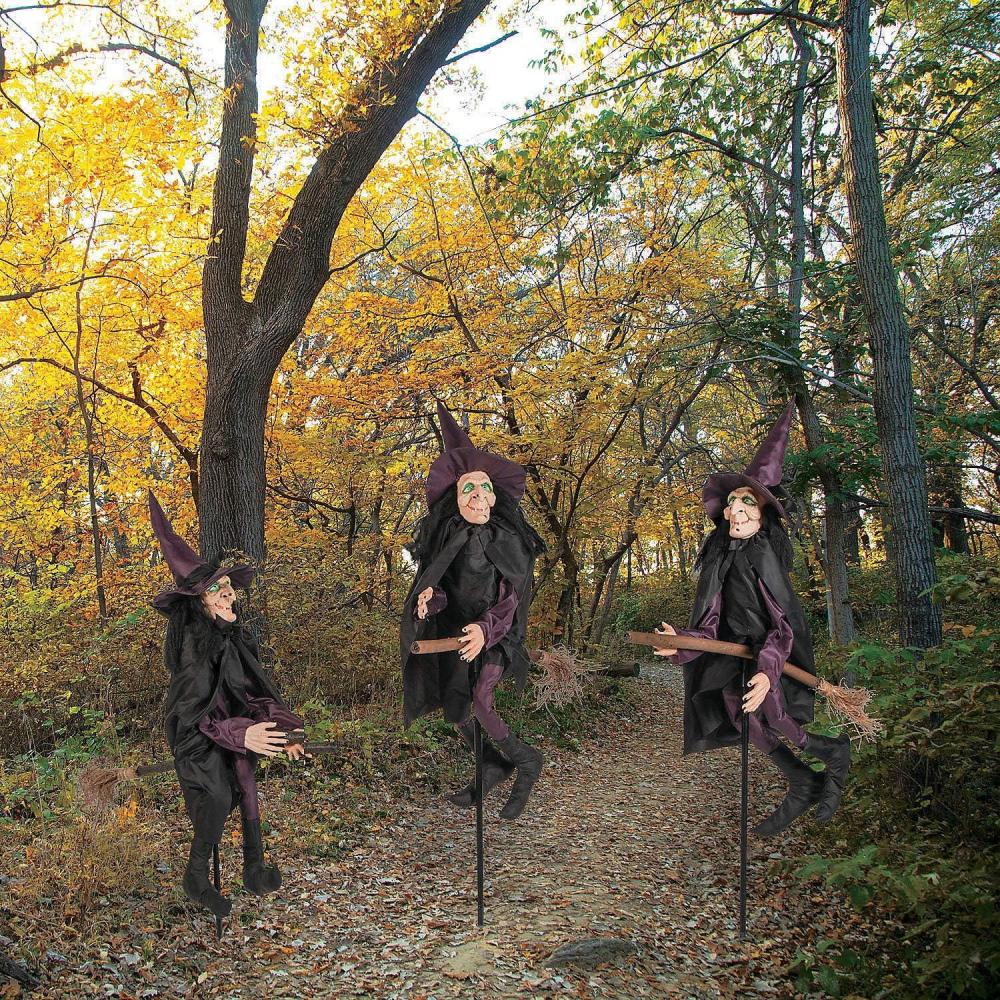 imageSpooky Witch Yard Stakes Halloween Decorations  12quotx43quot Set of 3 Outdoor Plastic Witch Dcor for a Bewitching Lawn