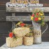 Fun Express Mini Hay Bales for Decoration – Natural Straw Bale 5″ Small Hay Bales for Fall Halloween Decor | Perfect for Table Centerpieces, Autumn Crafts & Seasonal DIY Projects – 1 Piece