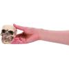 Fun Express Small Skulls for Halloween – Set of 3 – Use for Shrunken Heads and Scary Home Decor