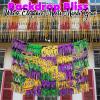 Mardi Gras Fringe Garland Backdrop – Party Decor – 6 Feet Long
