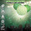 St Patrick’s Day Hanging Paper Lantern (set of 6) Party Decor