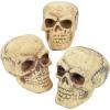Fun Express Small Skulls for Halloween – Set of 3 – Use for Shrunken Heads and Scary Home Decor