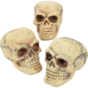 Fun Express Small Skulls for Halloween – Set of 3 – Use for Shrunken Heads and Scary Home Decor