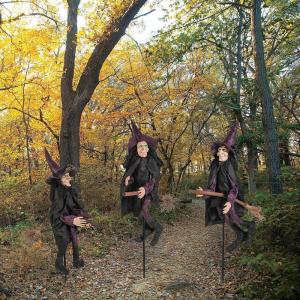 Spooky Witch Yard Stakes Halloween Decorations – 12″x43″ (Set of 3) Outdoor Plastic Witch Décor for a Bewitching Lawn