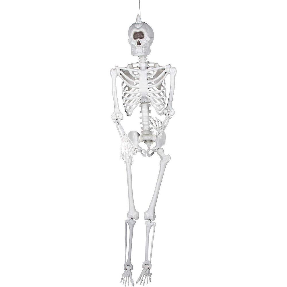 imageFun Express 5 Ft LifeSize Cyclops Skeleton Decoration for Halloween  Spooky Home Decor  Perfect for Parties Yard Displays and Haunted Houses  1 Piece