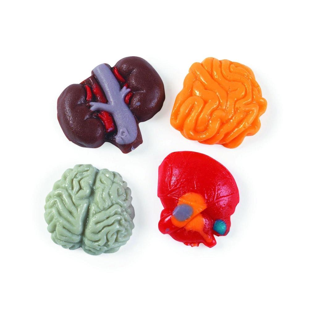 imageFun Express Halloween Organ Harvest Gummy Candy Bulk  1 lb Package with Brain Heart Lung ampamp Intestine Shapes  Mixed Fruit Flavors for Trick or Treat Bags Halloween Parties ampamp Trunk Events