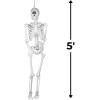 Fun Express 5 Ft. Life-Size Cyclops Skeleton Decoration for Halloween – Spooky Home Decor – Perfect for Parties, Yard Displays, and Haunted Houses – 1 Piece