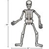 Halloween Vacuum Mold Jointed Skeleton – Party Decor – 1 Piece