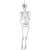 Fun Express 5 Ft. Life-Size Cyclops Skeleton Decoration for Halloween – Spooky Home Decor – Perfect for Parties, Yard Displays, and Haunted Houses – 1 Piece