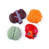 Fun Express Halloween Organ Harvest Gummy Candy Bulk – 1 lb Package with Brain, Heart, Lung & Intestine Shapes | Mixed Fruit Flavors for Trick or Treat Bags, Halloween Parties & Trunk Events