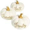 Fun Express White Pumpkins for Decorating with Gold Accents – Premium Resin Fall Decor 3 Piece Set | Elegant Thanksgiving Centerpieces for Dining Table | Farmhouse Autumn Decorations for Home