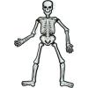 Halloween Vacuum Mold Jointed Skeleton – Party Decor – 1 Piece