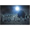 Haunted Cemetery Scene Backdrop Banner (9 feet long) Halloween Party Decorations