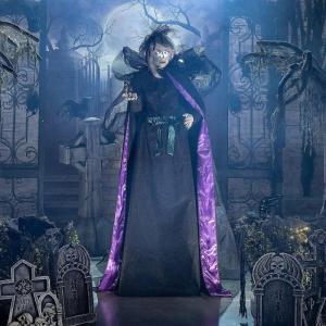 Fun Express Standing Bird Sorceress Halloween Decoration