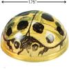 Fun Express Ladybug Glitter Popper Toy Set – Colorful Pop-Up Party Favors for Kids – Ideal for Birthday Parties Weddings Baby Showers and Special Occasions – Fun and Interactive Toys – 12 Pieces