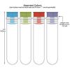 Fun Express Science Party Test Tube Favors – BPA – Free Clear Plastic – Perfect for Birthday Parties Science -Themed Events and Educational Activities Fun & Safe Party Supplies – 12 Pieces(12 Count (Pack of 1))