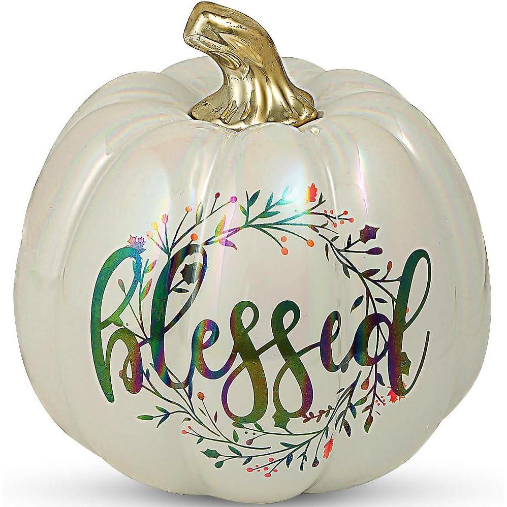 imageFun Express Blessed Pumpkin Tabletop Decoration  Fall Harvest Home Decor for Thanksgiving ampamp Seasonal Celebrations  Perfect Autumn Accent for Tables Mantels ampamp Centerpieces  1 Piece
