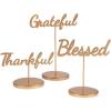 Fun Express Thanksgiving Phrase Tabletop Signs – 3 Pc