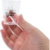 Fun Express 24 Pieces New Year’s Eve Plastic Shot Glasses, Holds 2 oz, BPA Free Plastic, New Year Party Supplies, Clear