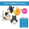 Fun Express Vinyl Cat Rubber Duckies (12 Pieces)