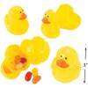 Fun Express One Dozen (12) Plastic Ducky Shaped Easter Eggs